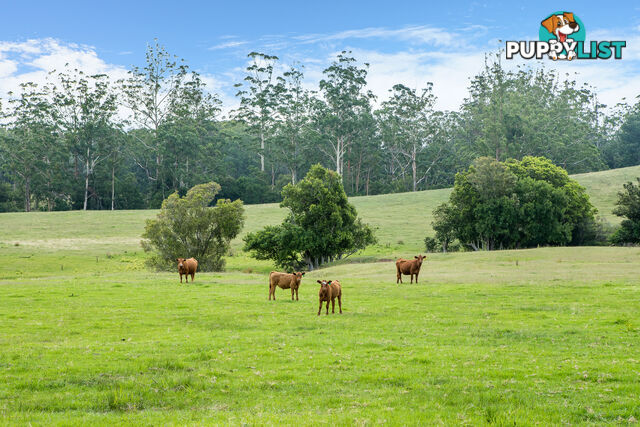 Lot 2/Lot 16 Hanleys Creek Road DUNGOG NSW 2420