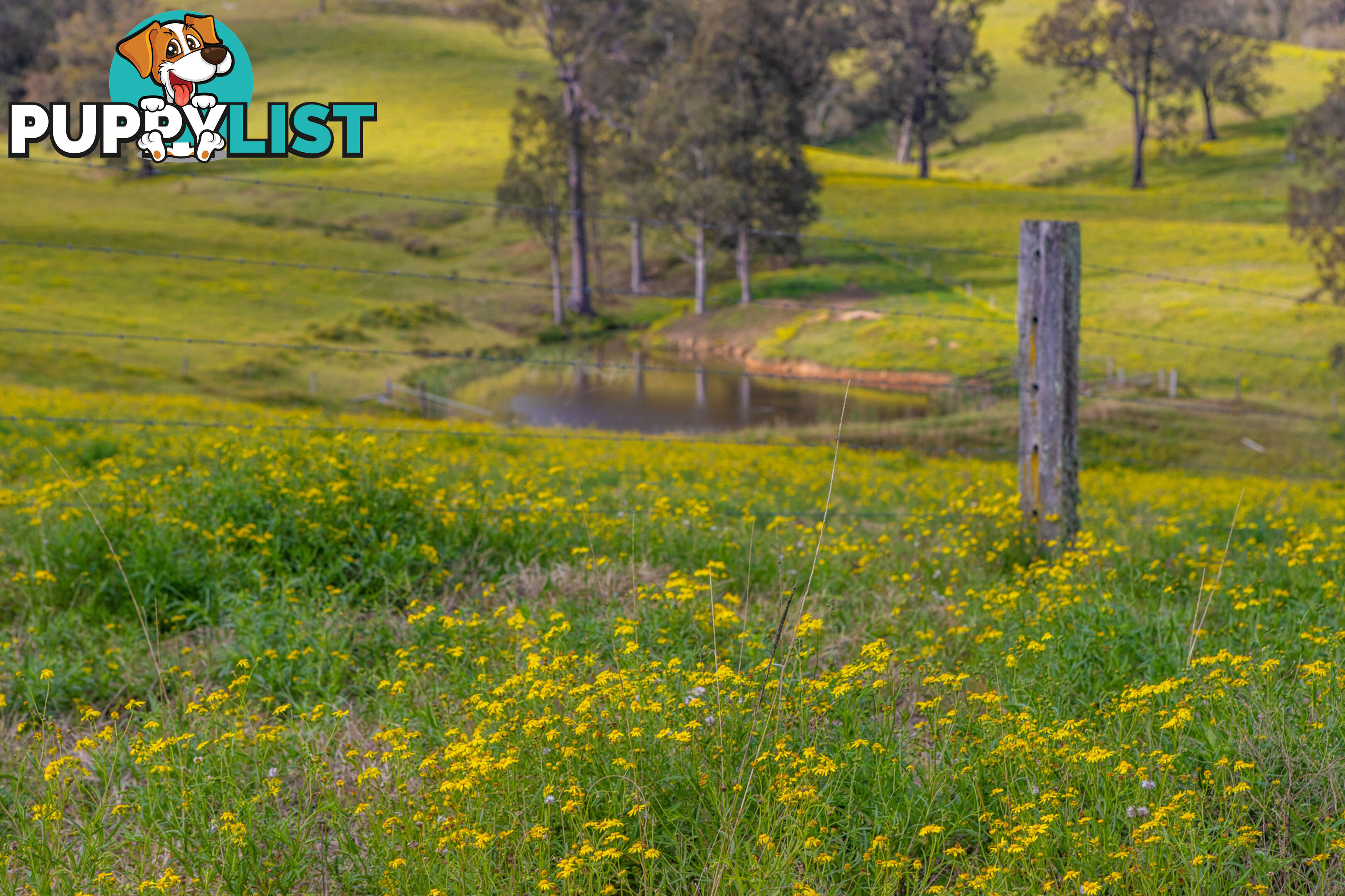 Lot 2/Lot 16 Hanleys Creek Road DUNGOG NSW 2420