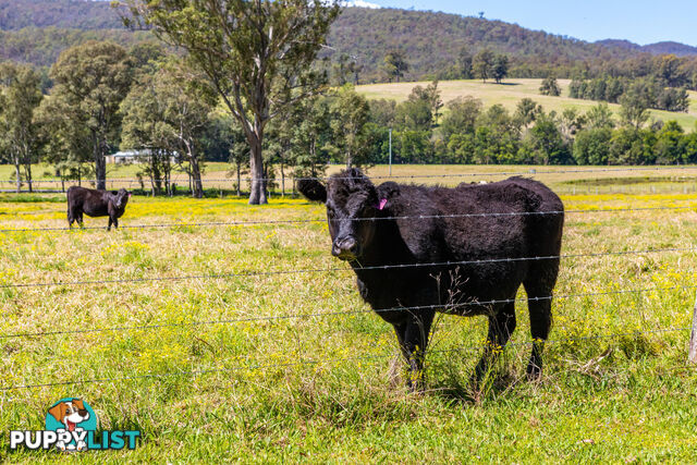 Lot 2/Lot 16 Hanleys Creek Road DUNGOG NSW 2420