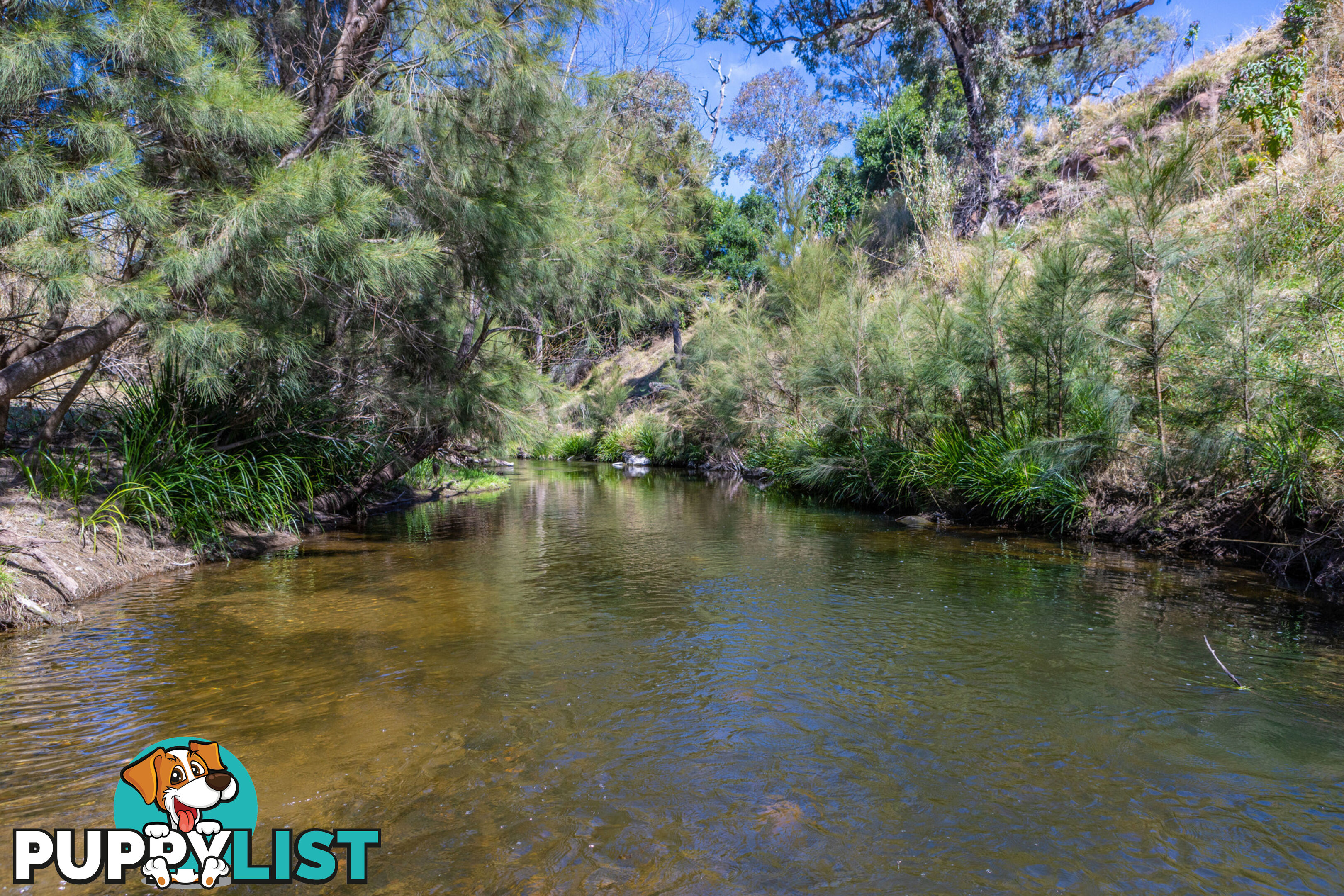 Lot 2/Lot 16 Hanleys Creek Road DUNGOG NSW 2420