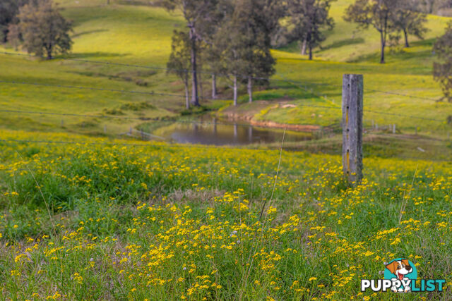 Lot 24/Lot 16 Hanleys Creek Road DUNGOG NSW 2420