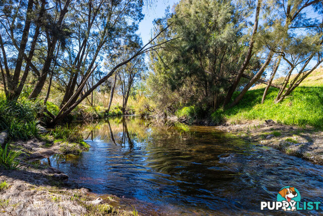 Lot 24/Lot 16 Hanleys Creek Road DUNGOG NSW 2420