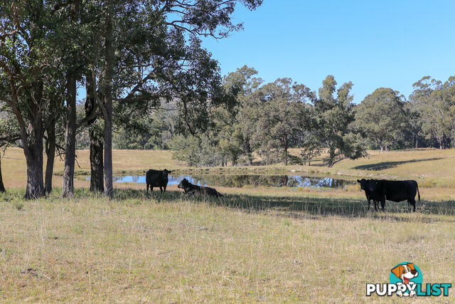 Lot 24/Lot 16 Hanleys Creek Road DUNGOG NSW 2420