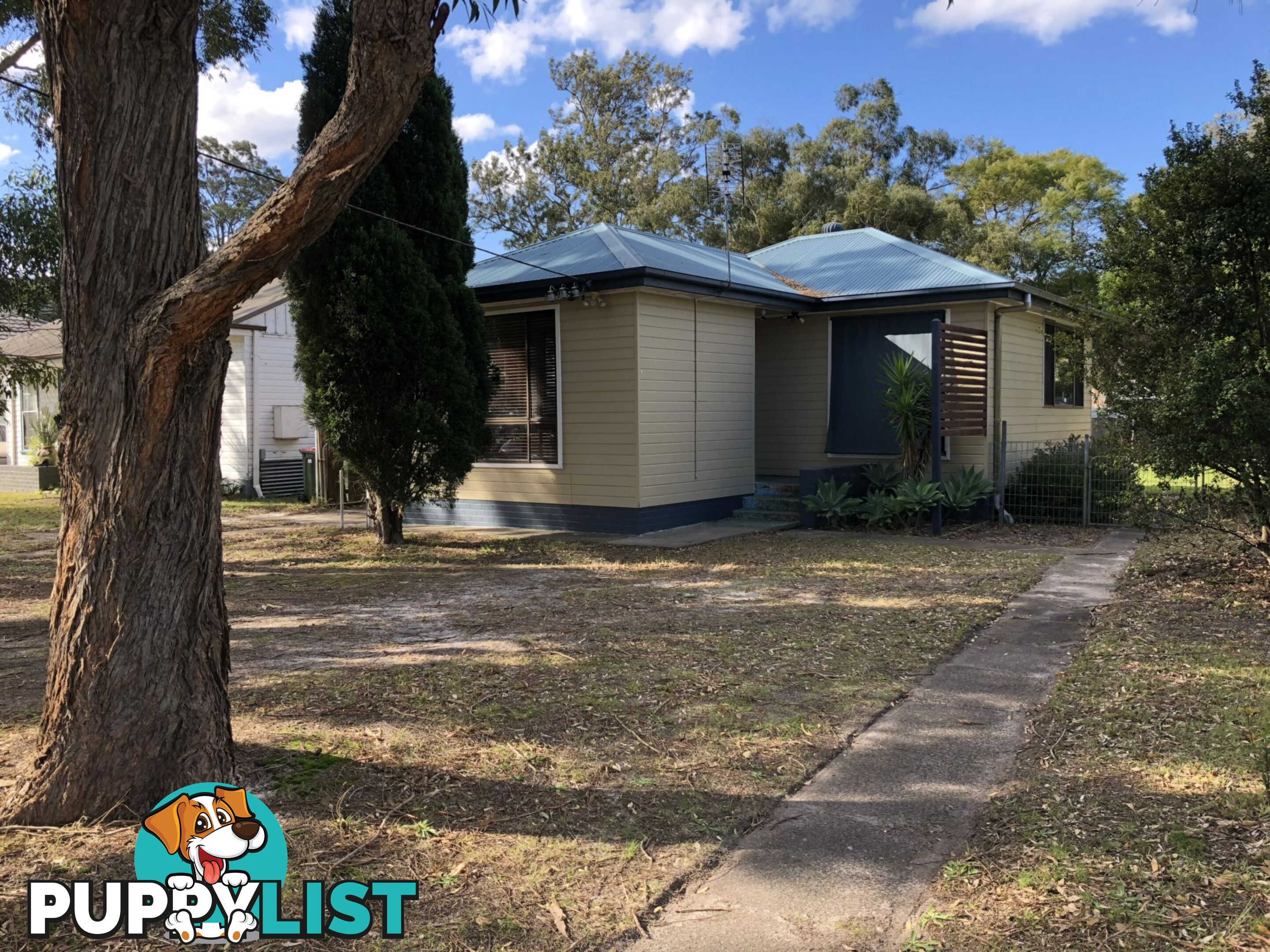 19 Anne Street RAYMOND TERRACE NSW 2324