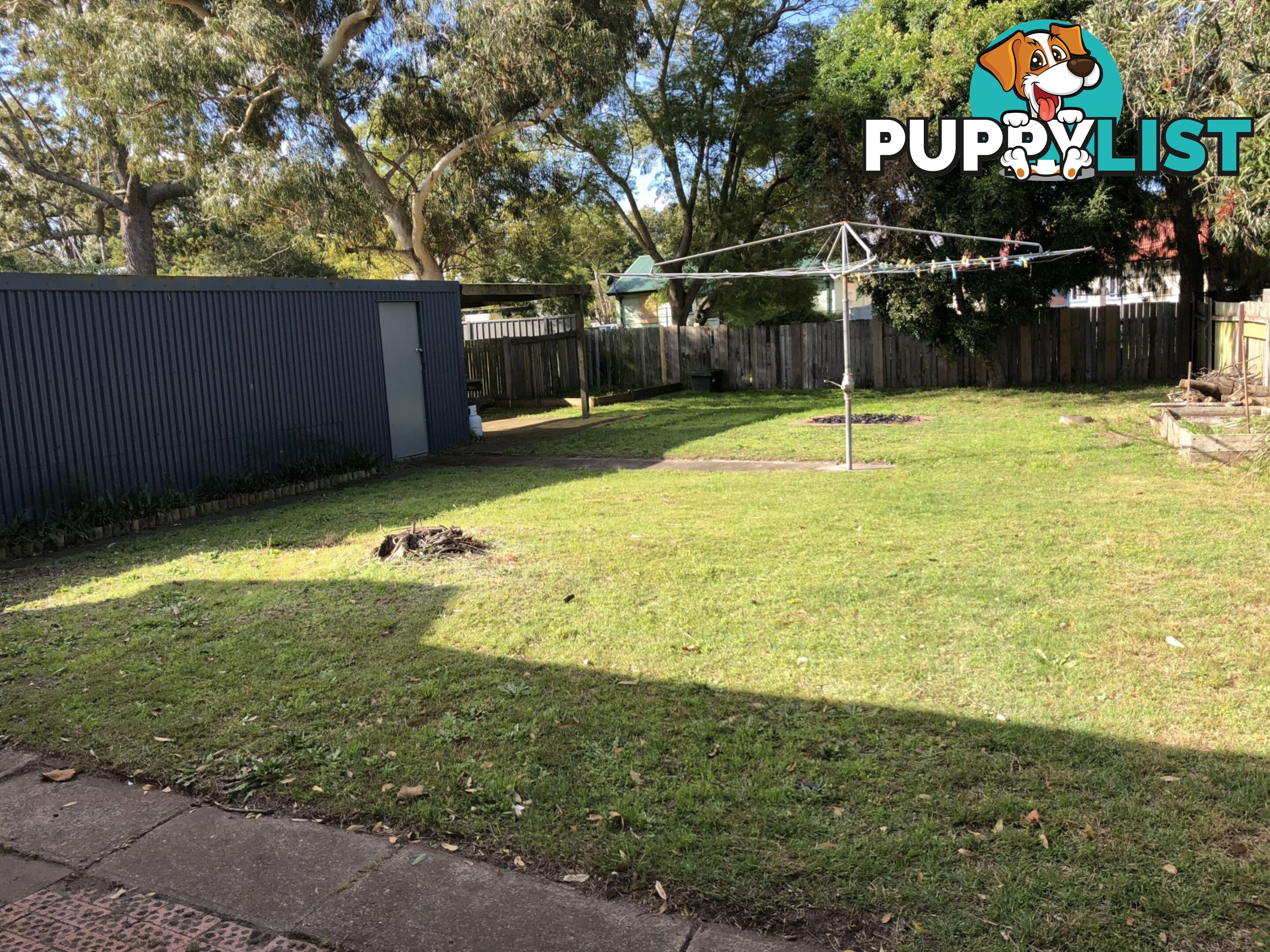 19 Anne Street RAYMOND TERRACE NSW 2324