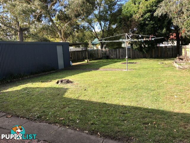 19 Anne Street RAYMOND TERRACE NSW 2324