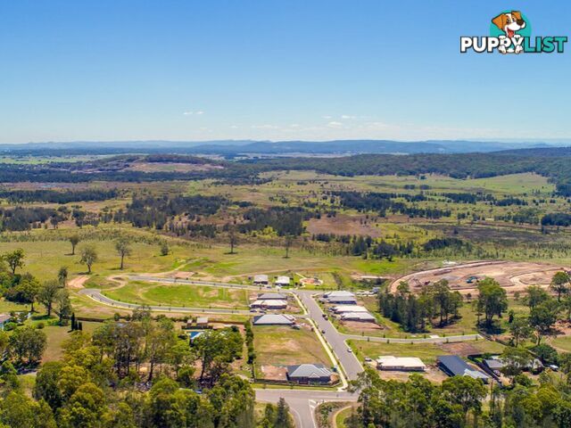 Lot 710 Dairyman Drive RAYMOND TERRACE NSW 2324