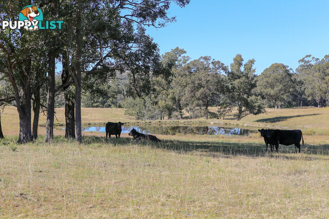 Lot 18/Lot 16 Hanleys Creek Road DUNGOG NSW 2420