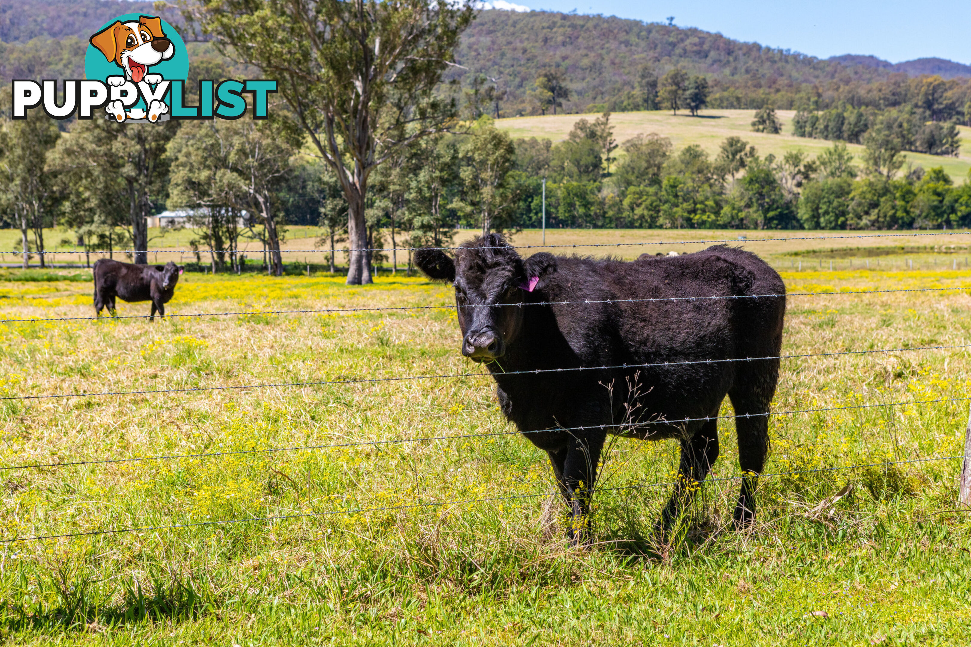 Lot 18/Lot 16 Hanleys Creek Road DUNGOG NSW 2420