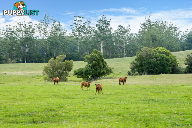 Lot 18/Lot 16 Hanleys Creek Road DUNGOG NSW 2420