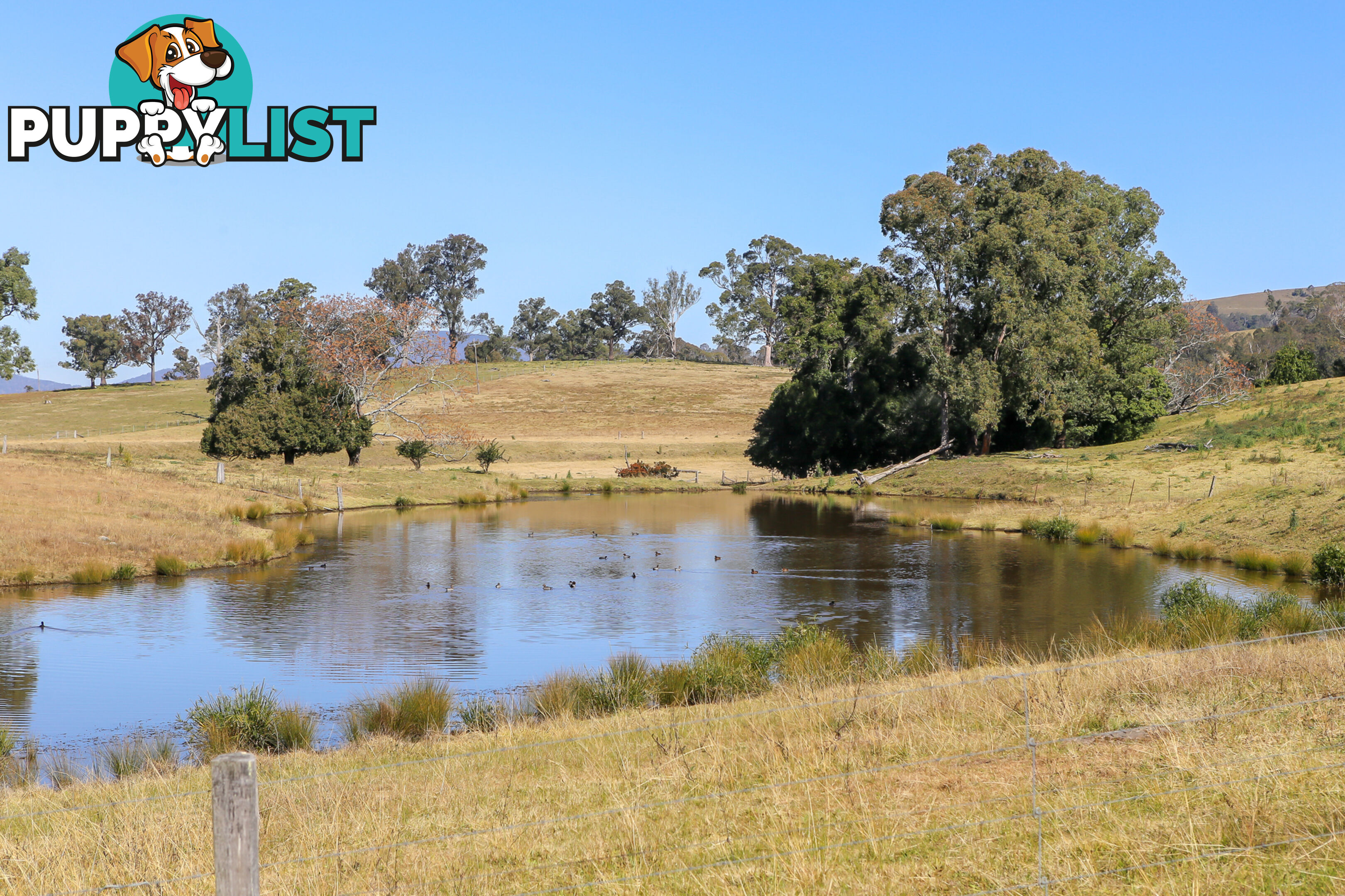 Lot 18/Lot 16 Hanleys Creek Road DUNGOG NSW 2420