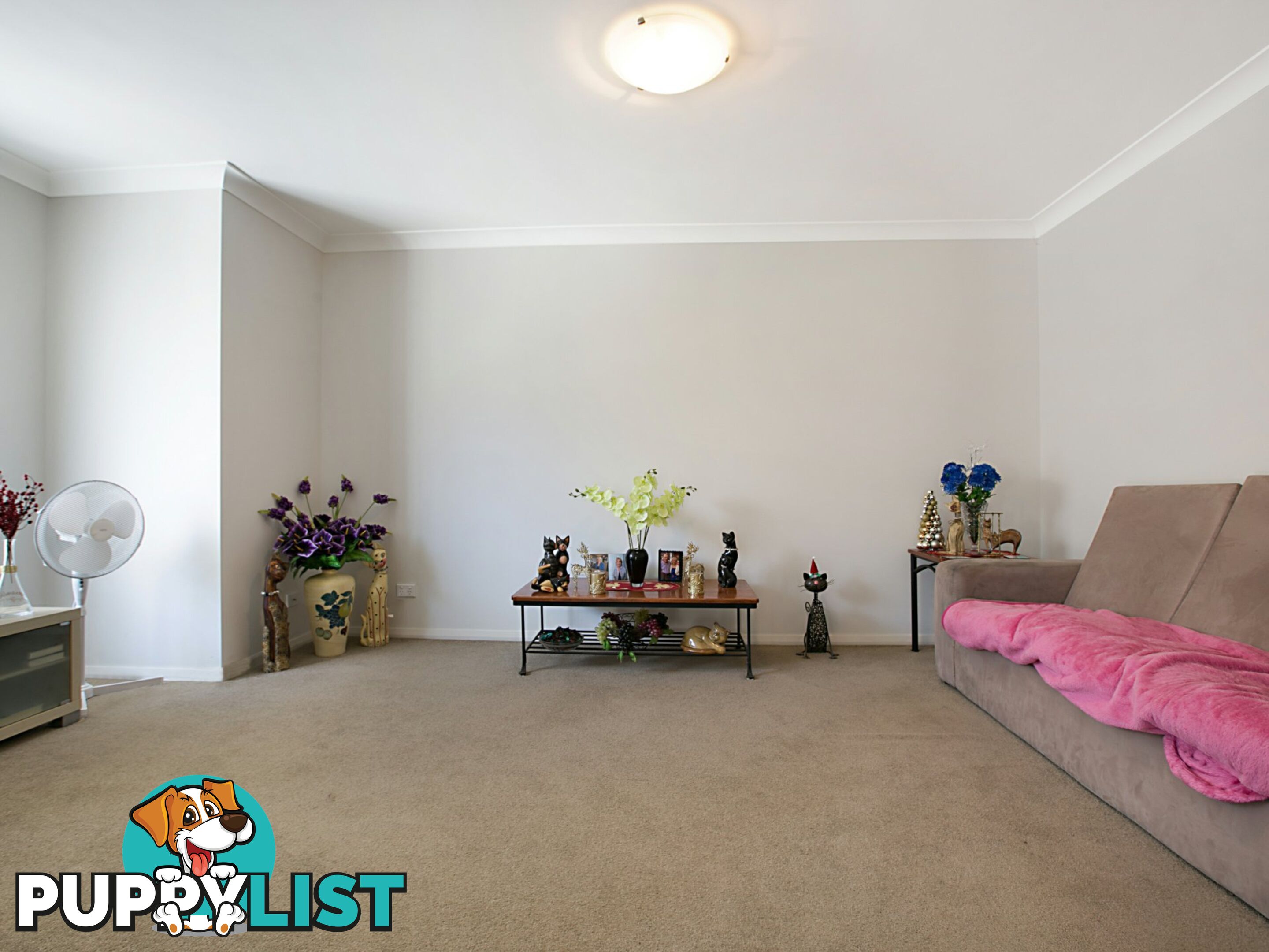 9 Osborn Crescent RAYMOND TERRACE NSW 2324