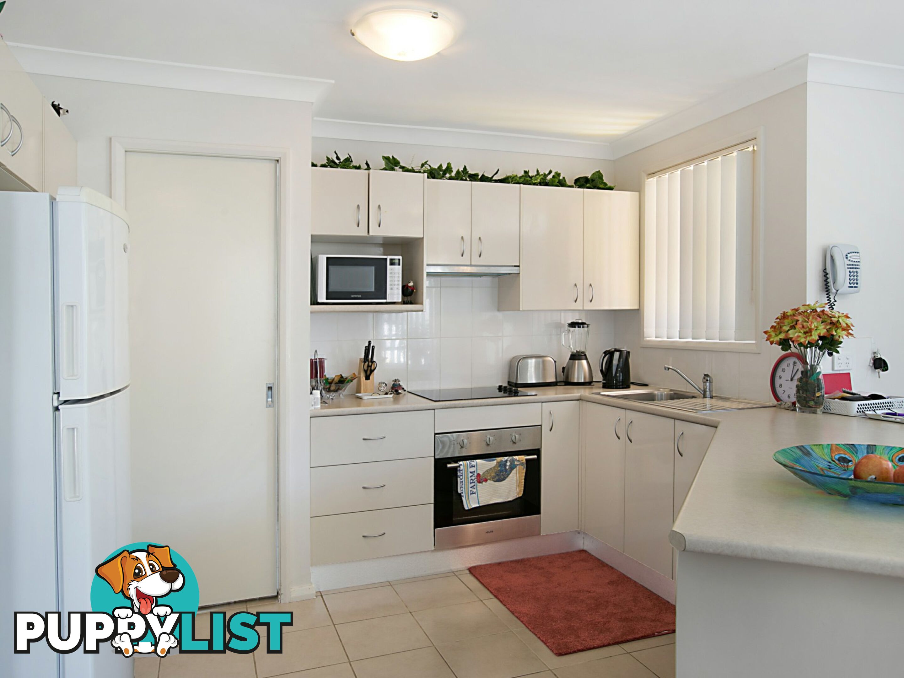 9 Osborn Crescent RAYMOND TERRACE NSW 2324