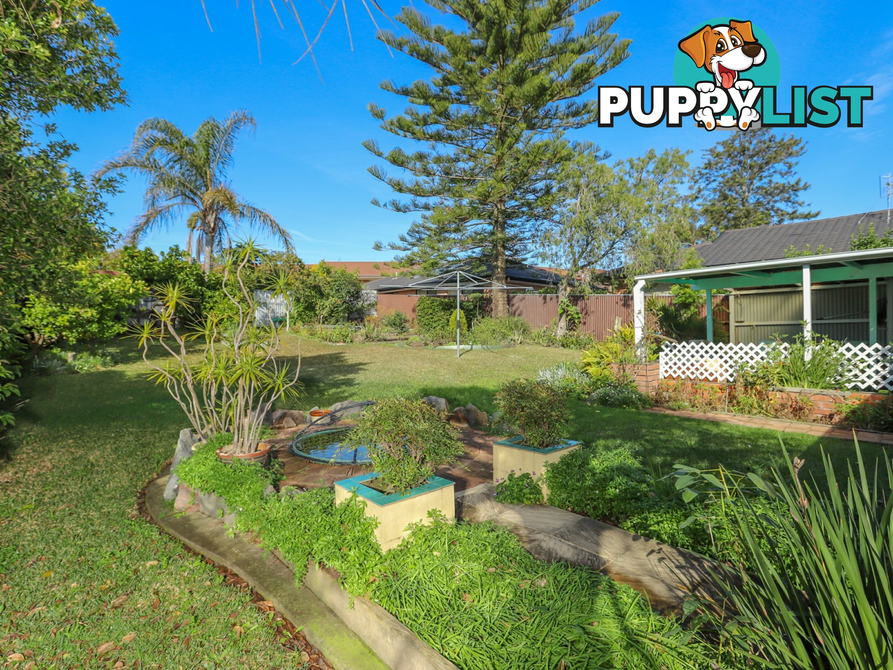 97 Adelaide Street RAYMOND TERRACE NSW 2324