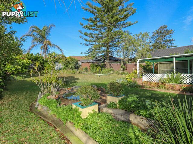 97 Adelaide Street RAYMOND TERRACE NSW 2324