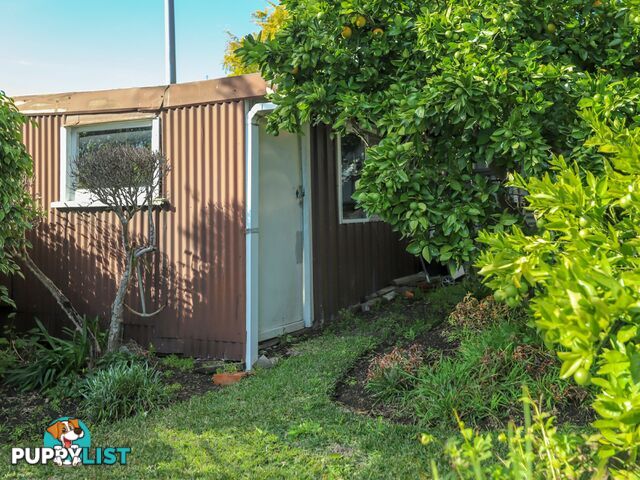 97 Adelaide Street RAYMOND TERRACE NSW 2324