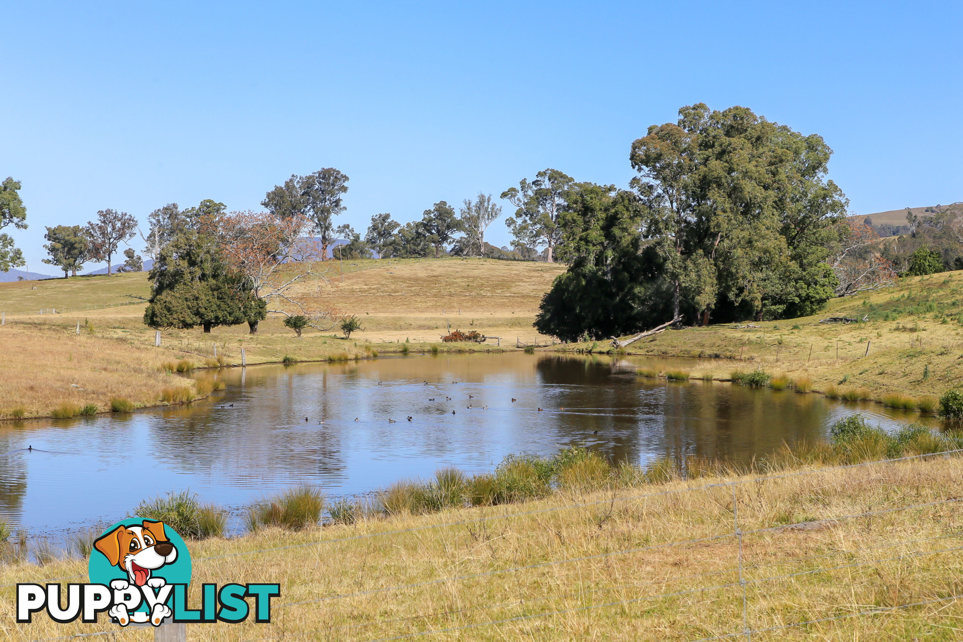 Lot 19/Lot 16 Hanleys Creek Road DUNGOG NSW 2420