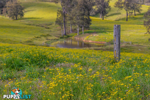 Lot 19/Lot 16 Hanleys Creek Road DUNGOG NSW 2420