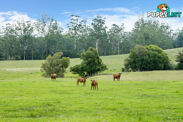 Lot 19/Lot 16 Hanleys Creek Road DUNGOG NSW 2420