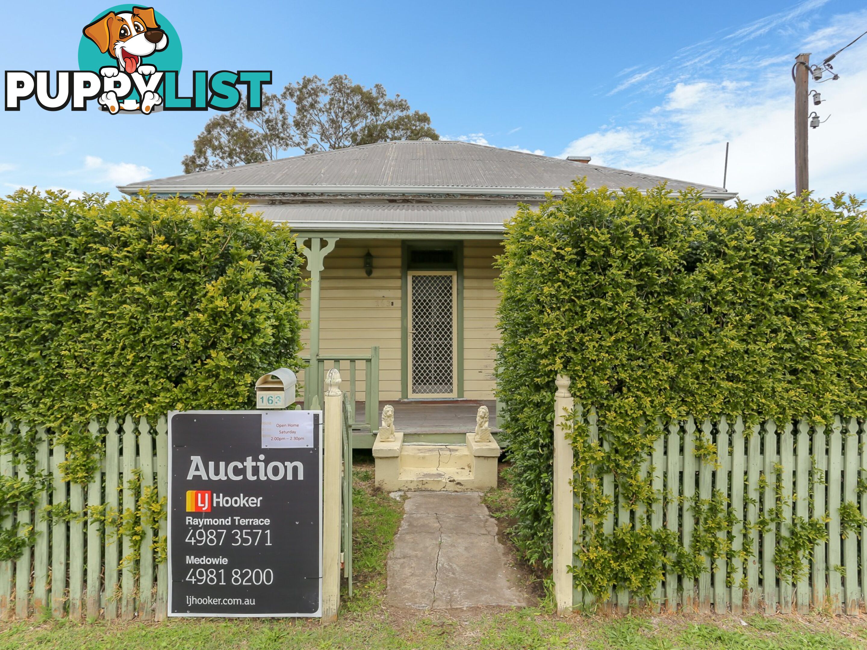 163 Adelaide Street RAYMOND TERRACE NSW 2324