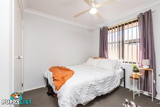 60 Martens Avenue RAYMOND TERRACE NSW 2324