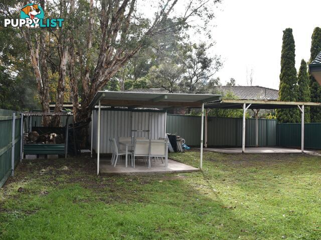 11 McKenzie Place RAYMOND TERRACE NSW 2324