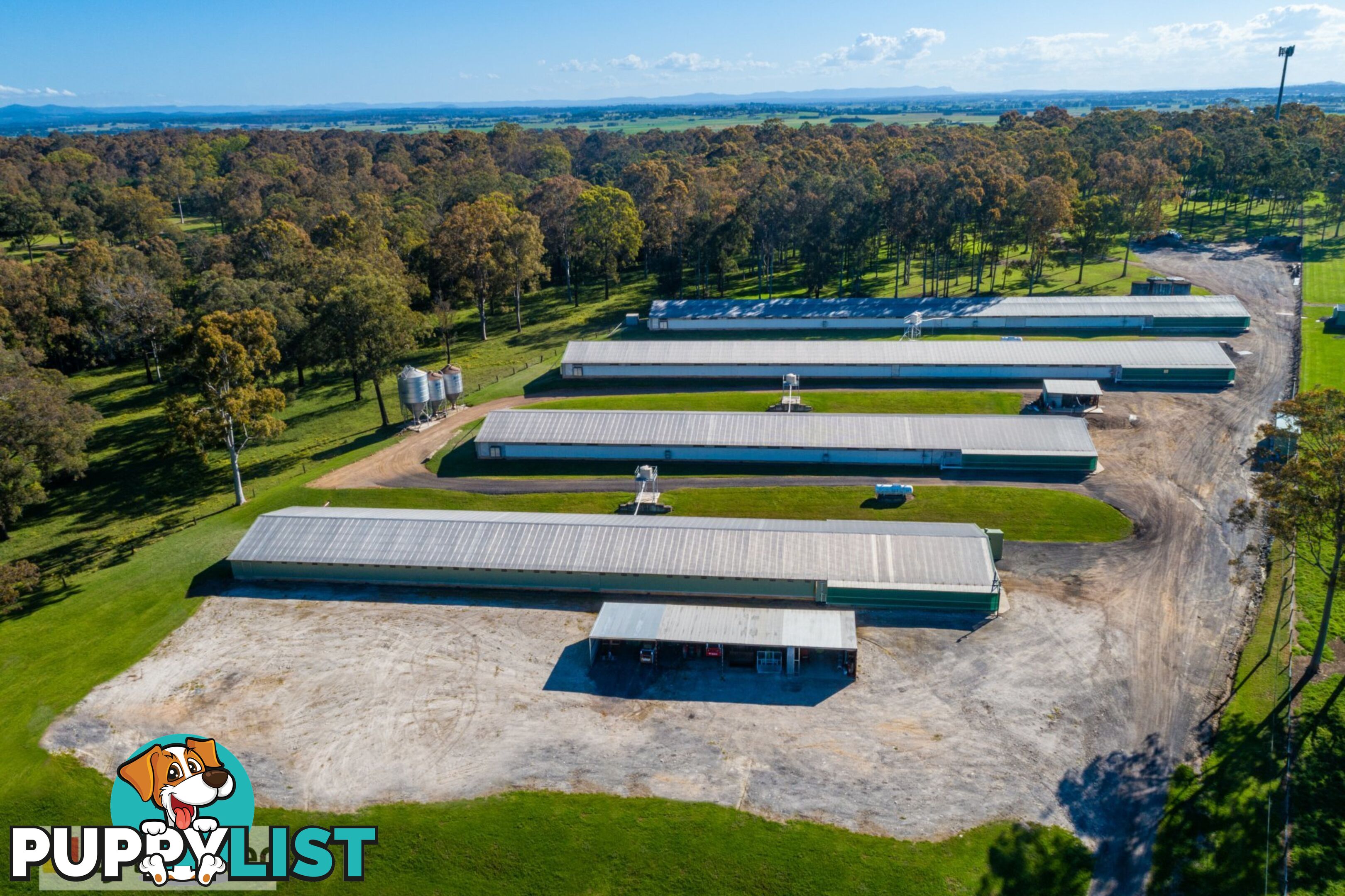 667 Seaham Road NELSONS PLAINS NSW 2324