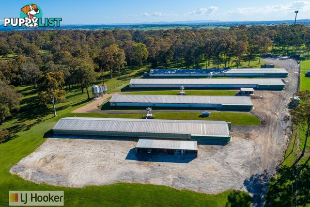 667 Seaham Road NELSONS PLAINS NSW 2324