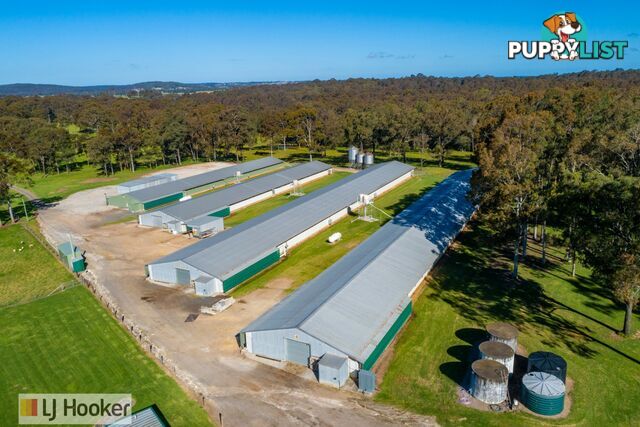 667 Seaham Road NELSONS PLAINS NSW 2324