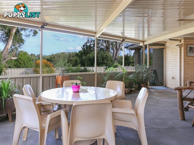 43 Martens Avenue RAYMOND TERRACE NSW 2324