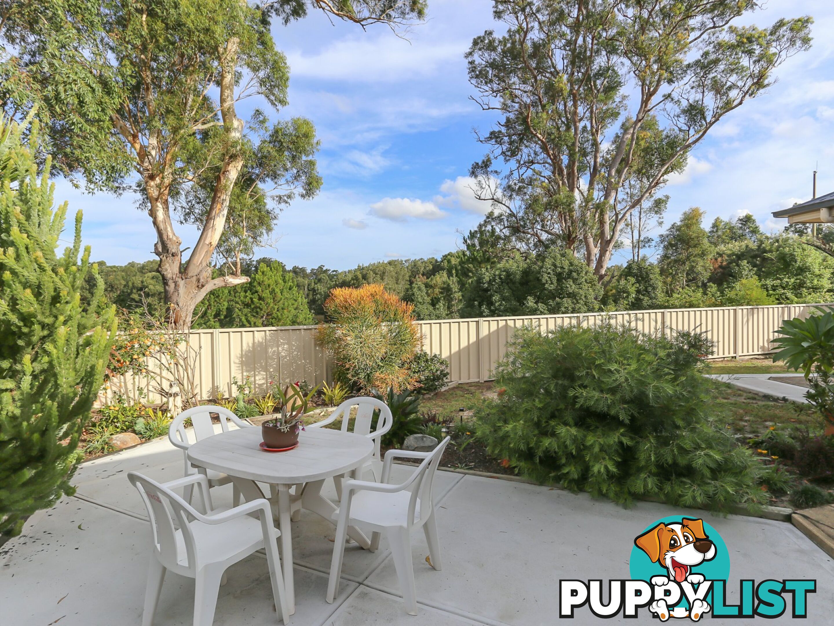 43 Martens Avenue RAYMOND TERRACE NSW 2324