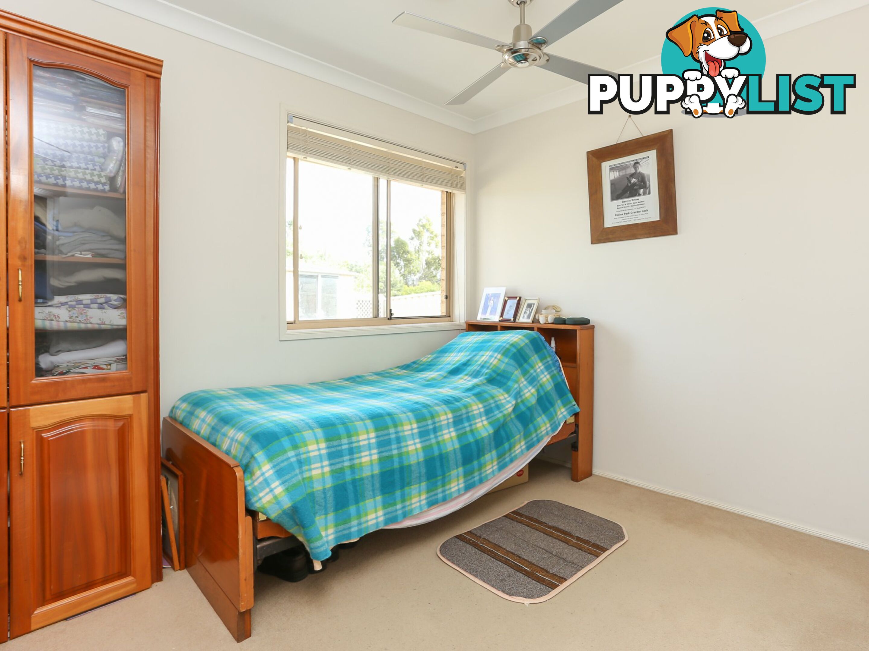 43 Martens Avenue RAYMOND TERRACE NSW 2324