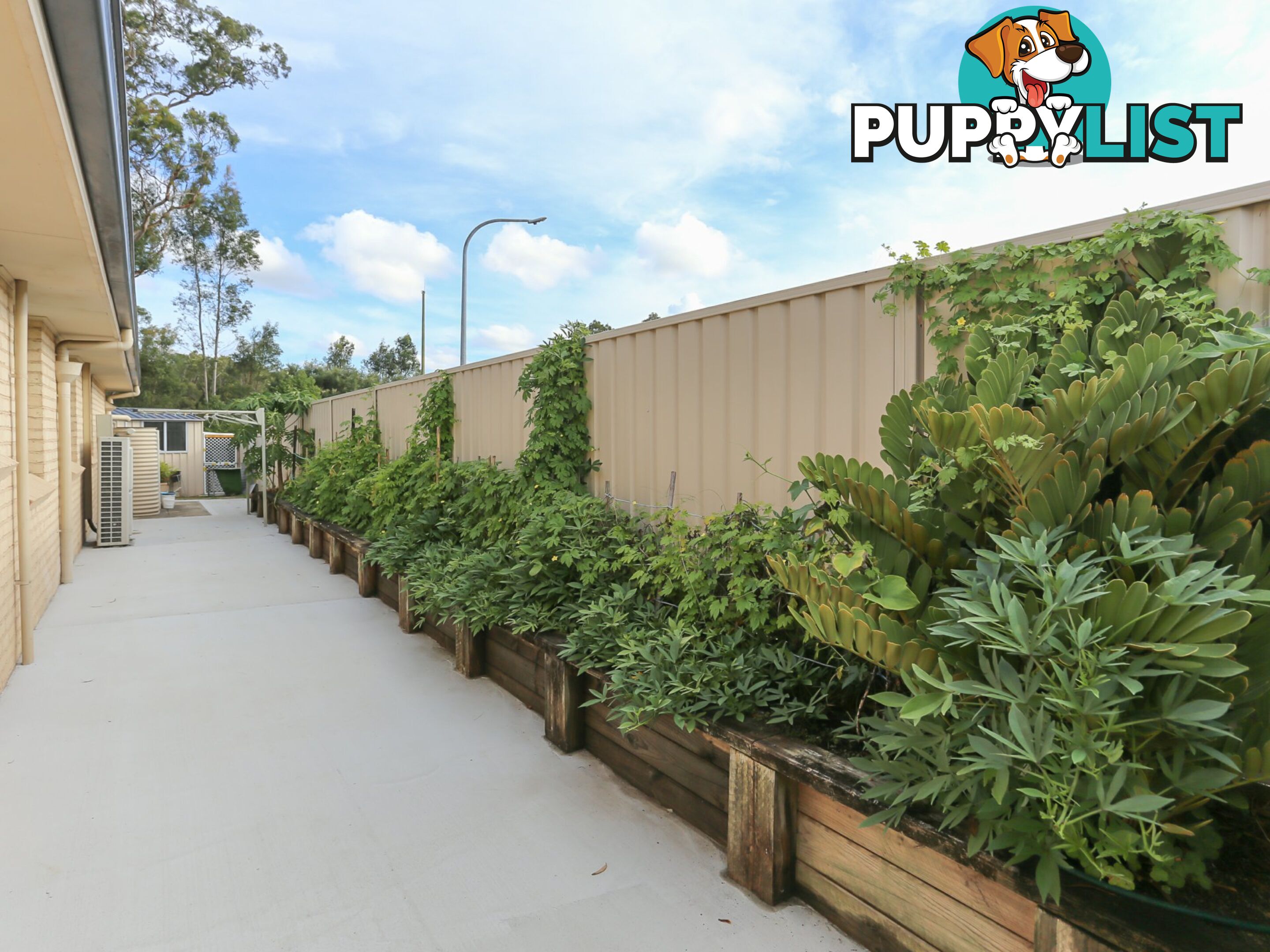 43 Martens Avenue RAYMOND TERRACE NSW 2324