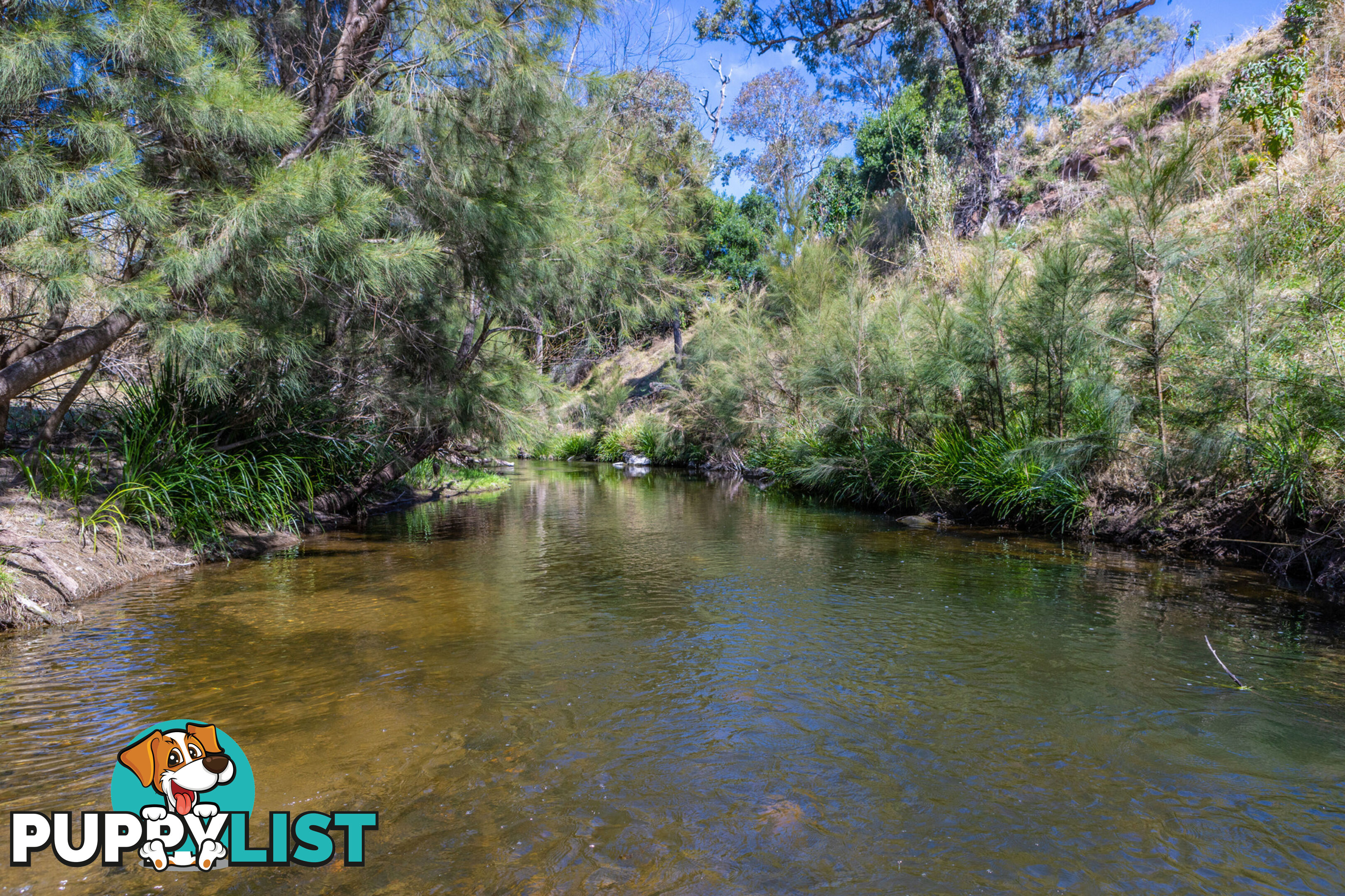 Lot 17/Lot 16 Hanleys Creek Road DUNGOG NSW 2420