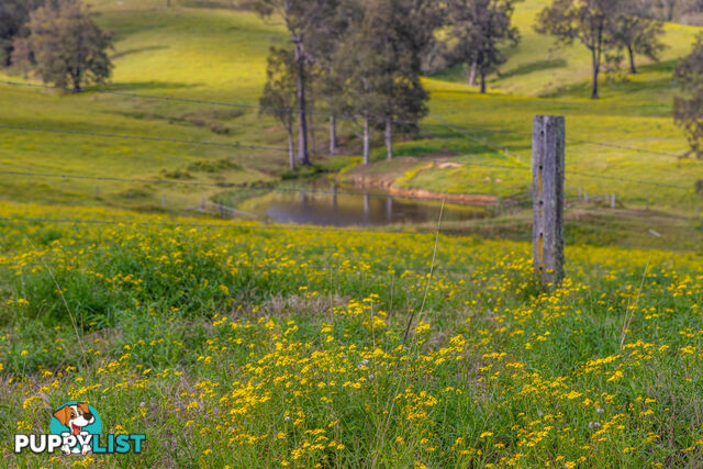 Lot 17/Lot 16 Hanleys Creek Road DUNGOG NSW 2420