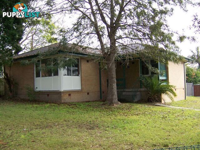 1 Banks Street RAYMOND TERRACE NSW 2324