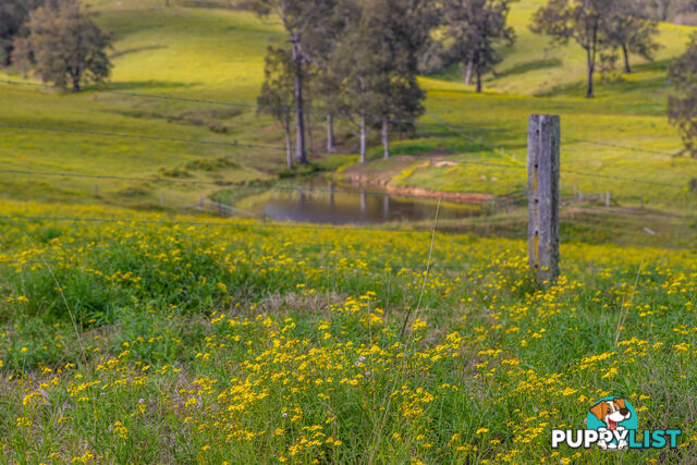 Lot 7/Lot 16 Hanleys Creek Road DUNGOG NSW 2420