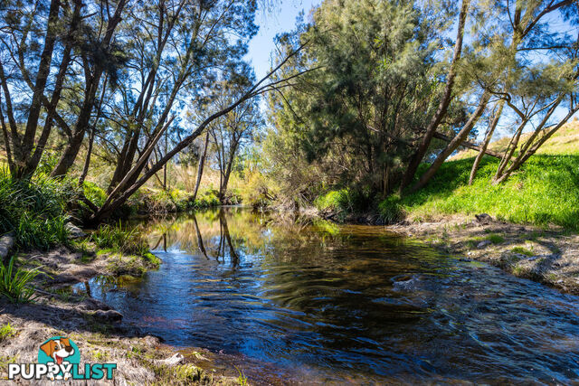 Lot 7/Lot 16 Hanleys Creek Road DUNGOG NSW 2420