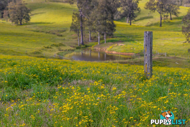 Lot 21/lot 16 Hanleys Creek Road DUNGOG NSW 2420