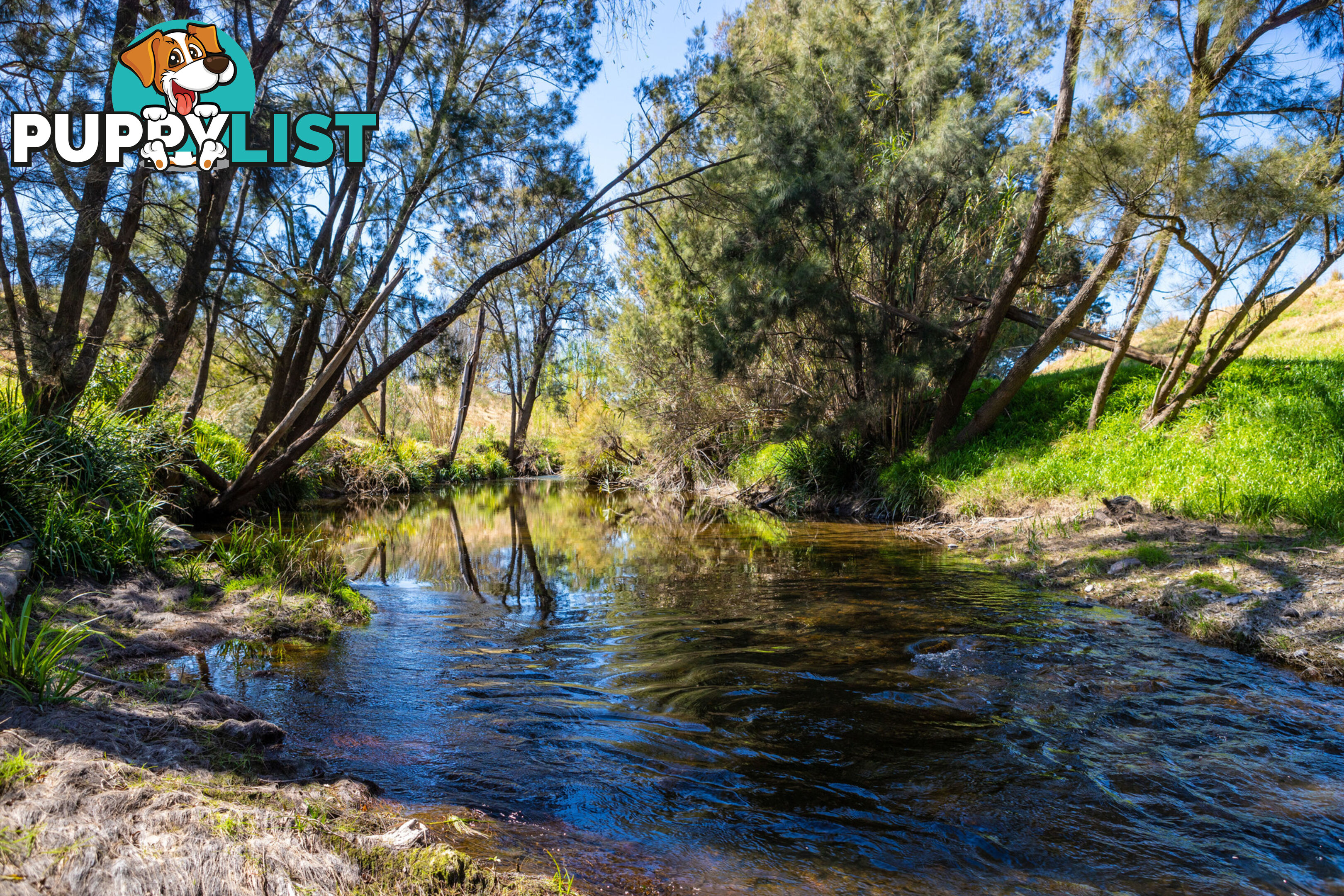 Lot 21/lot 16 Hanleys Creek Road DUNGOG NSW 2420