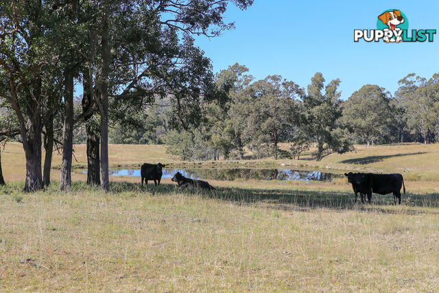 Lot 21/lot 16 Hanleys Creek Road DUNGOG NSW 2420