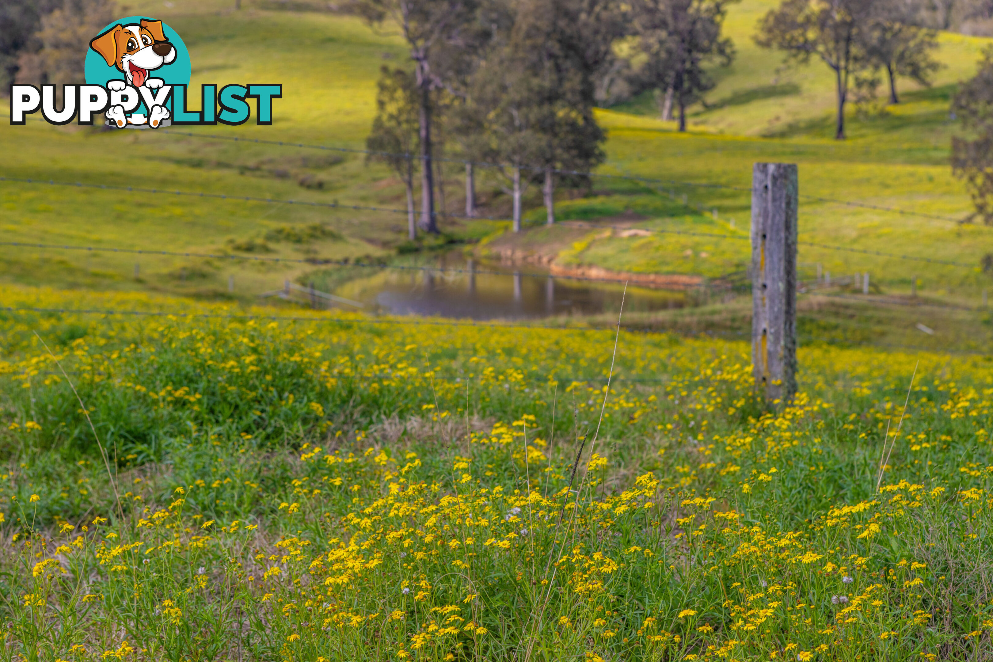 Lot 22/Lot 16 Hanleys Creek Road DUNGOG NSW 2420