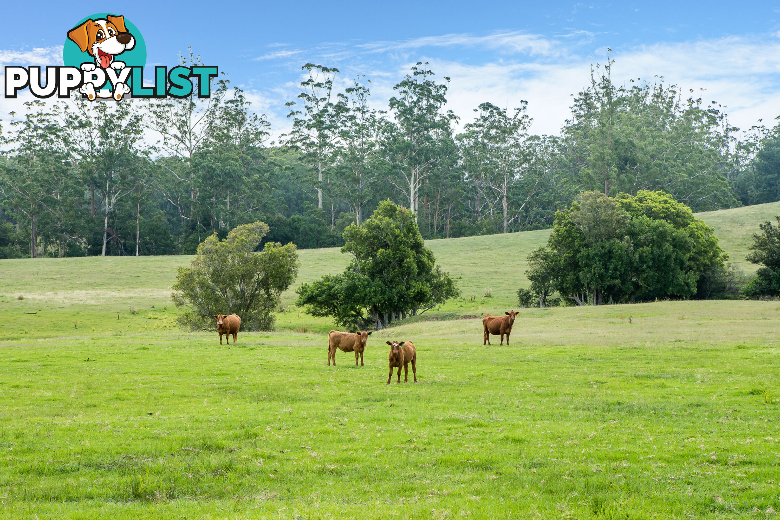 Lot 23/Lot 16 Hanleys Creek Road DUNGOG NSW 2420