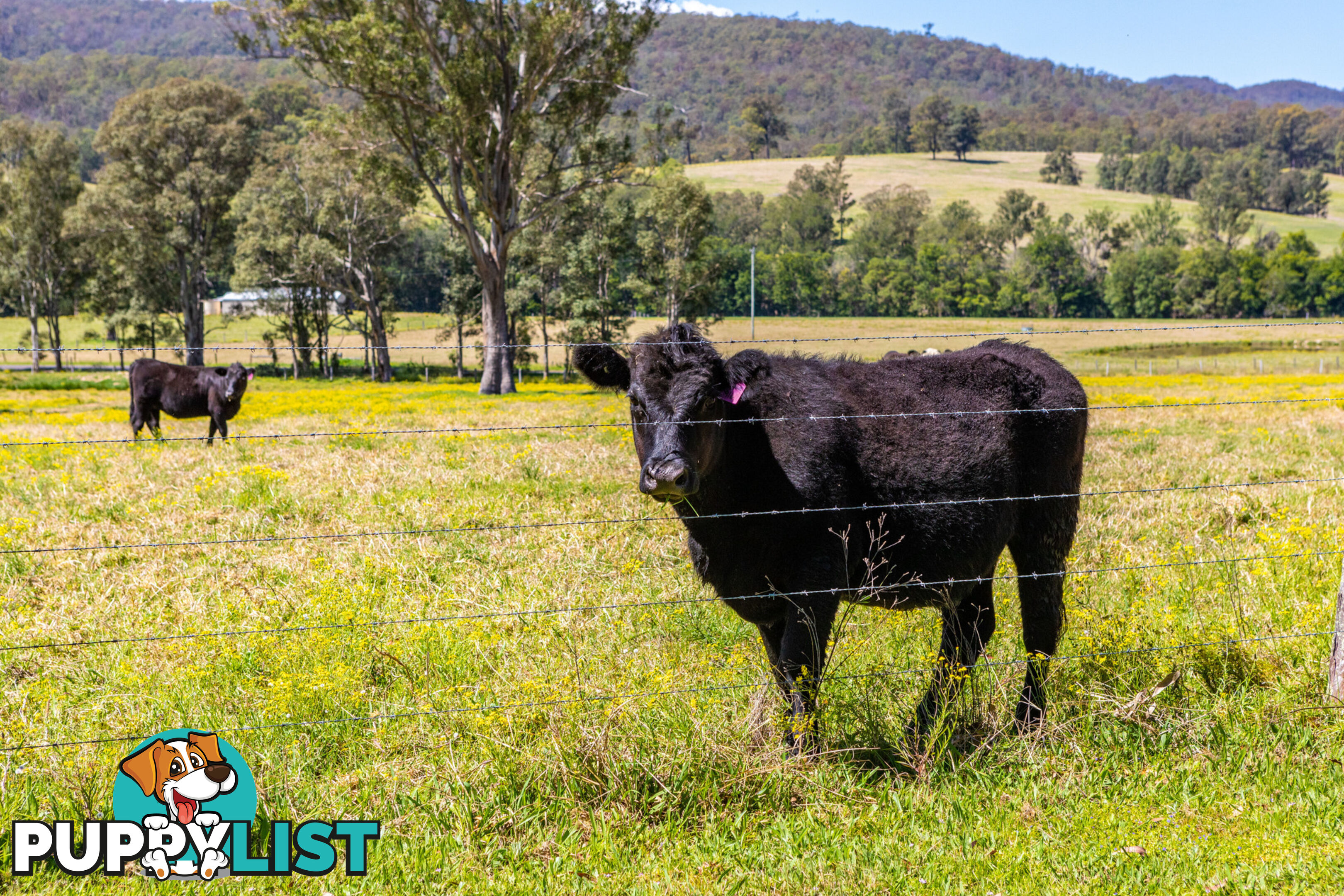 Lot 23/Lot 16 Hanleys Creek Road DUNGOG NSW 2420