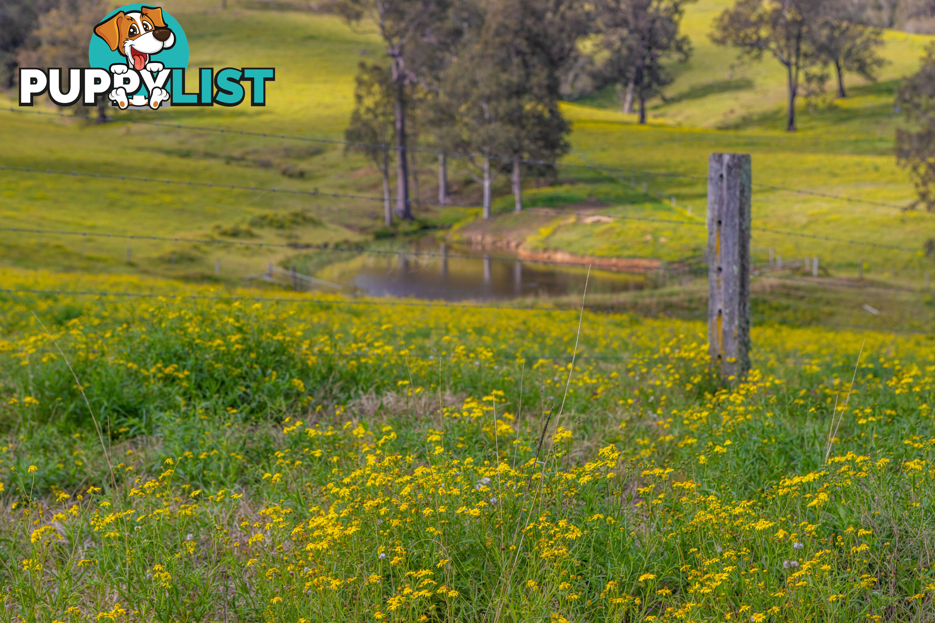 Lot 23/Lot 16 Hanleys Creek Road DUNGOG NSW 2420