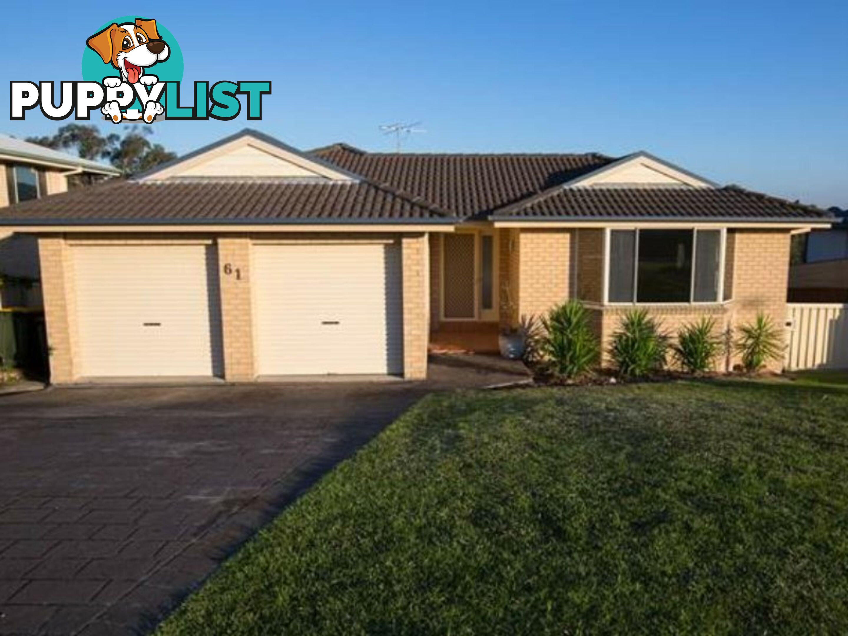 61 Beaton Avenue RAYMOND TERRACE NSW 2324