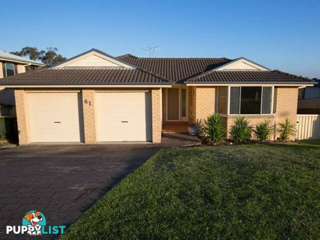 61 Beaton Avenue RAYMOND TERRACE NSW 2324