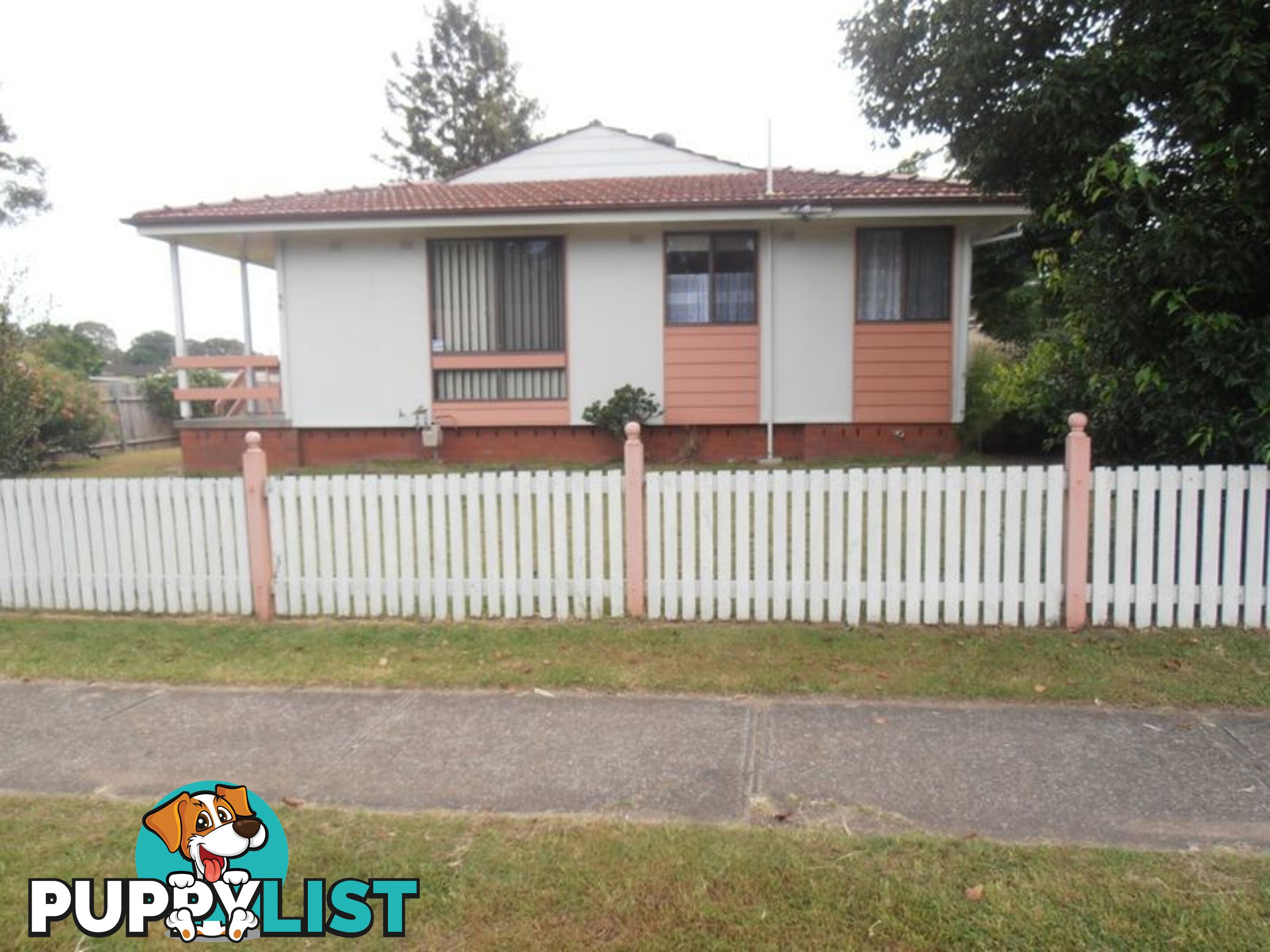 56 Mount Hall Road RAYMOND TERRACE NSW 2324