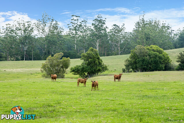 Lot 3/Lot 16 Hanleys Creek Road TABBIL CREEK NSW 2420