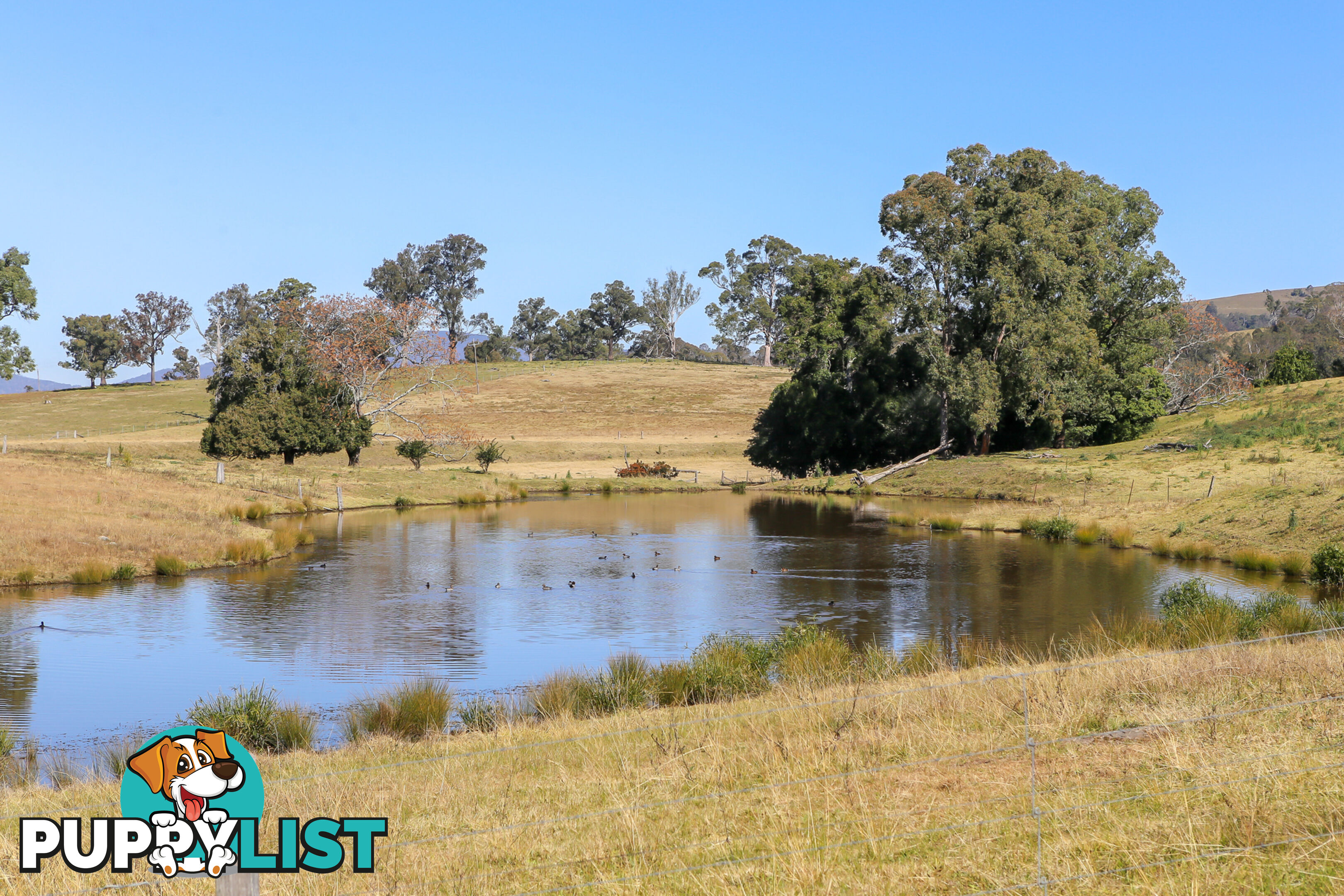 Lot 3/Lot 16 Hanleys Creek Road TABBIL CREEK NSW 2420